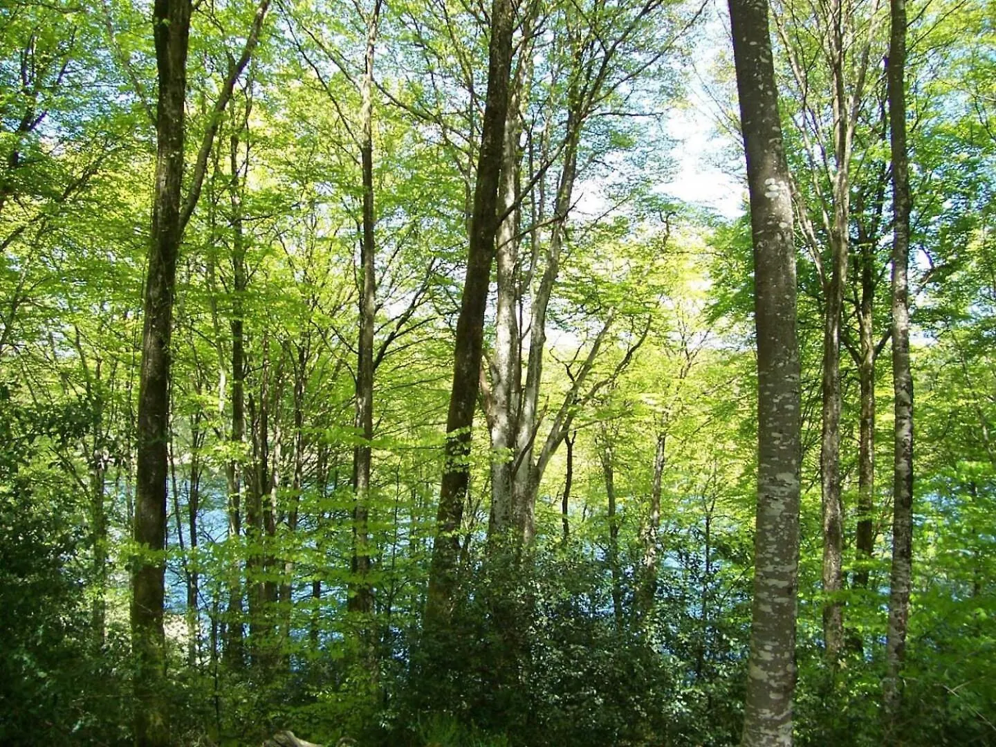 Les Gites De La Planette - Gite 1 Saint-Amans-Valtoret 0*,  فرنسا